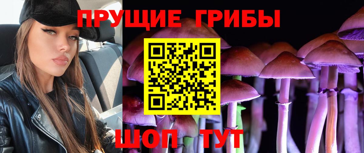 Галлюциногенные грибы мухоморы  Псилоцибиновые грибы прущие грибы  Сальск  Вход с VPN 