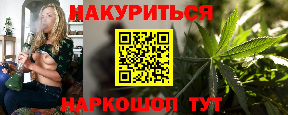 Бошки Шишки сатива Сальск